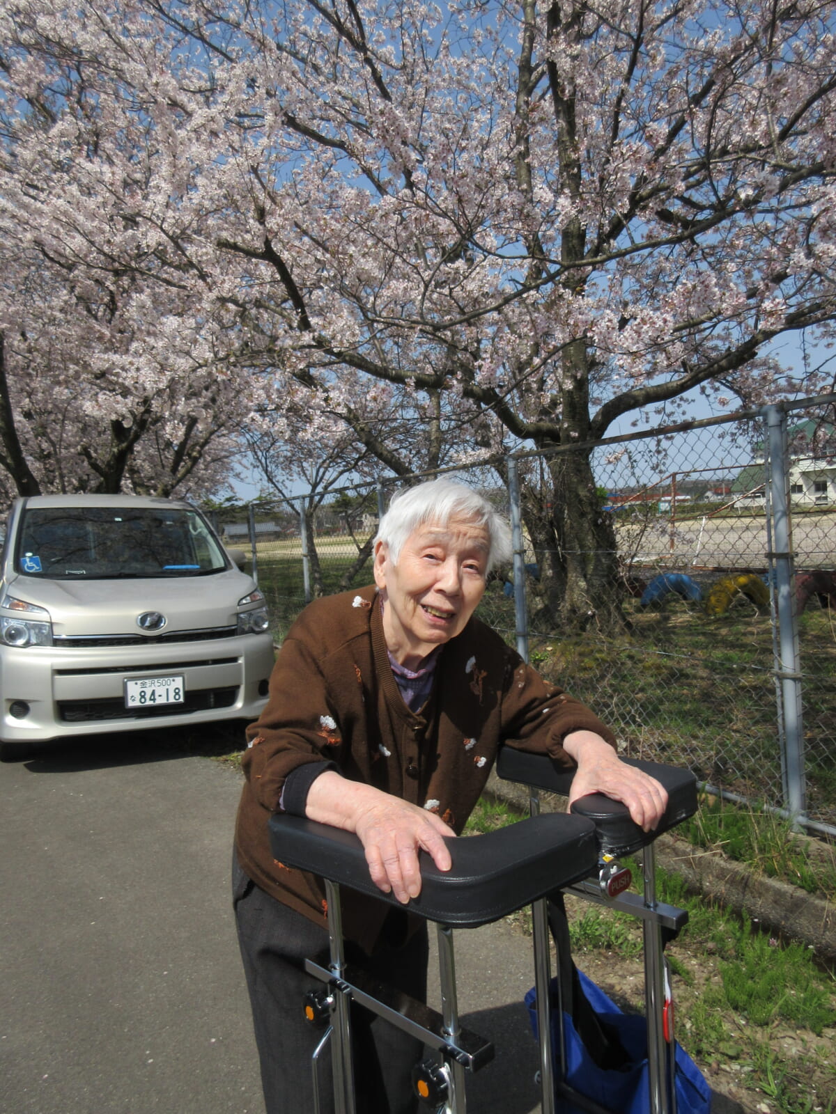 お花見🌸　第二弾！！