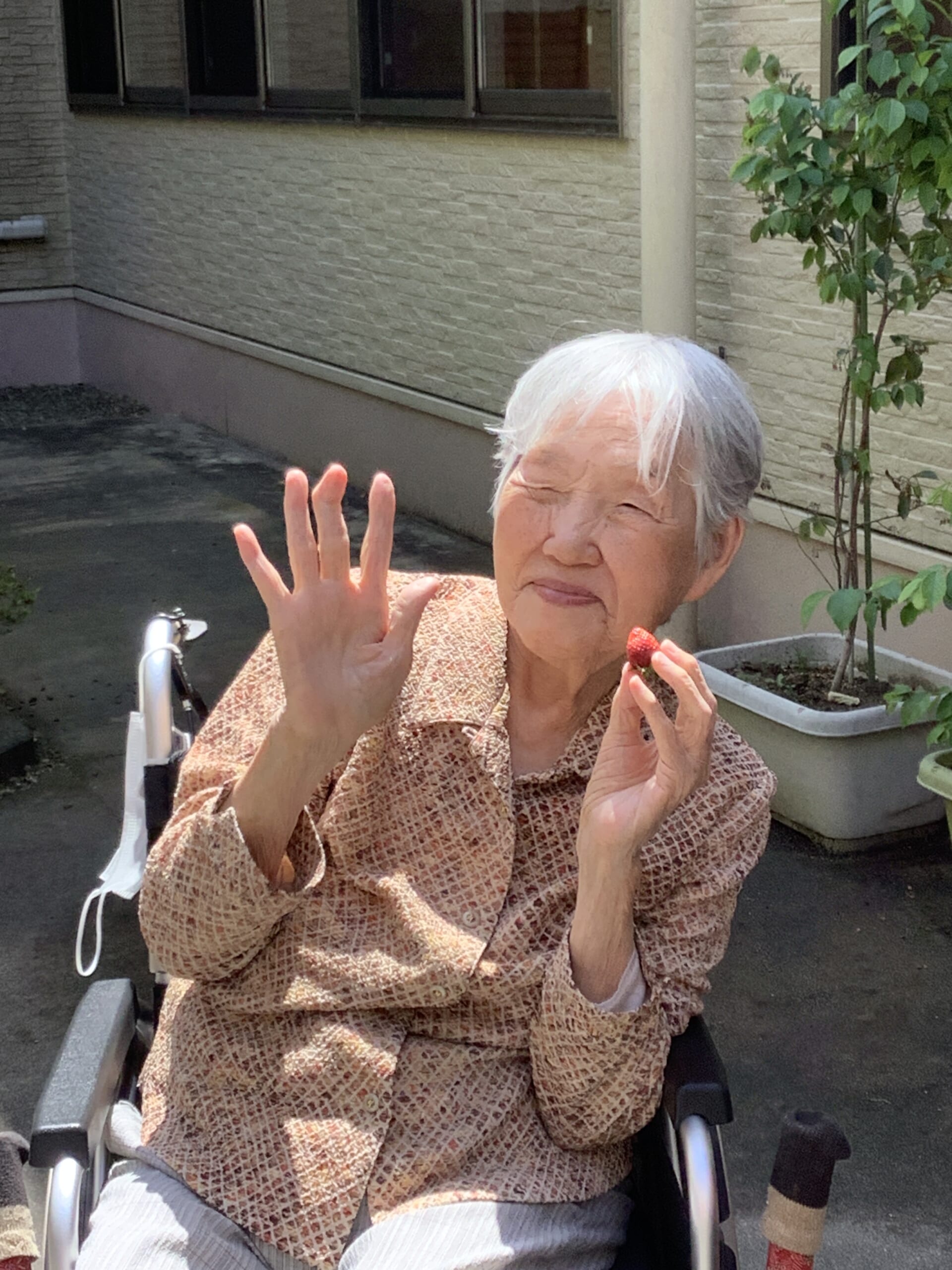 いちごがなりました🍓