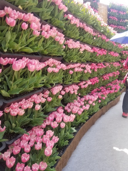 20190423_124035