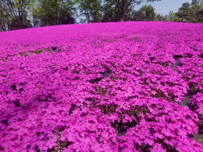 20190423_125839