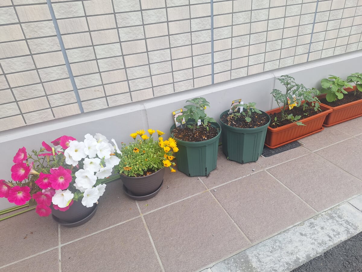 🌸暖かい気候になりましたね🌸
