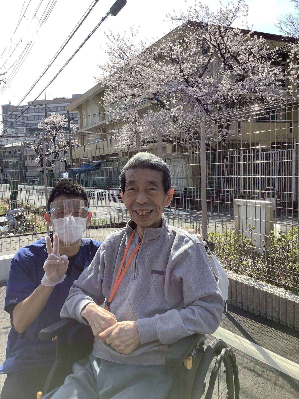 さくらとみんな🌸