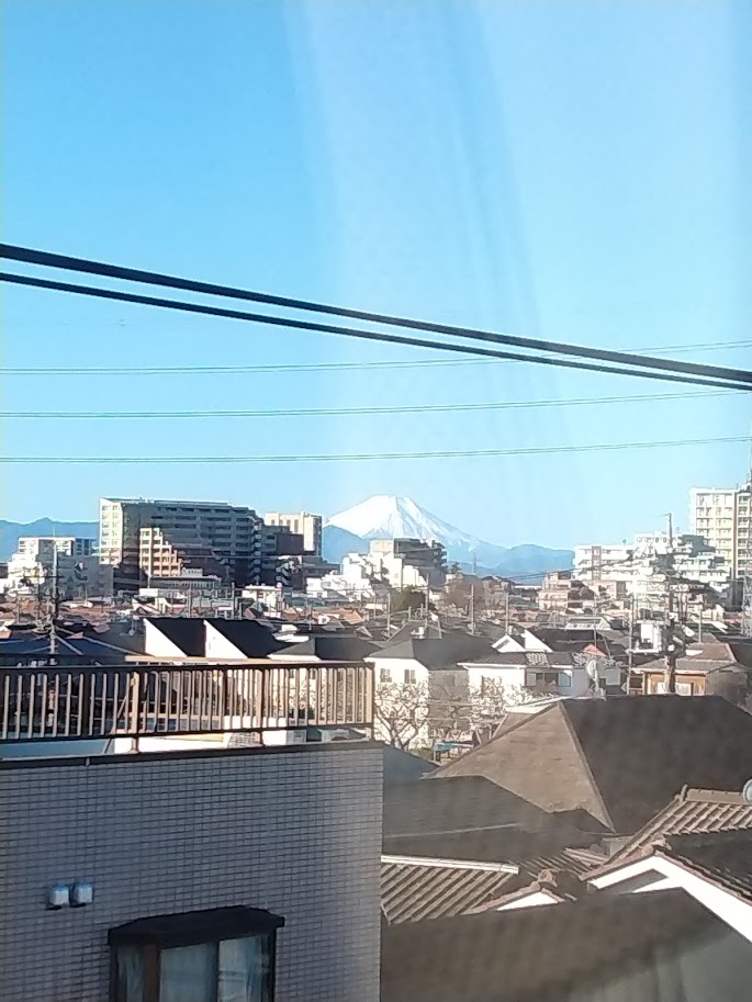🎍明けましておめでとうございます🎍