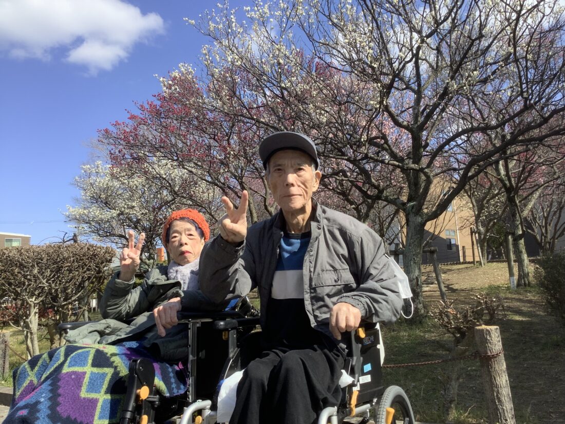 春の気配…🌼