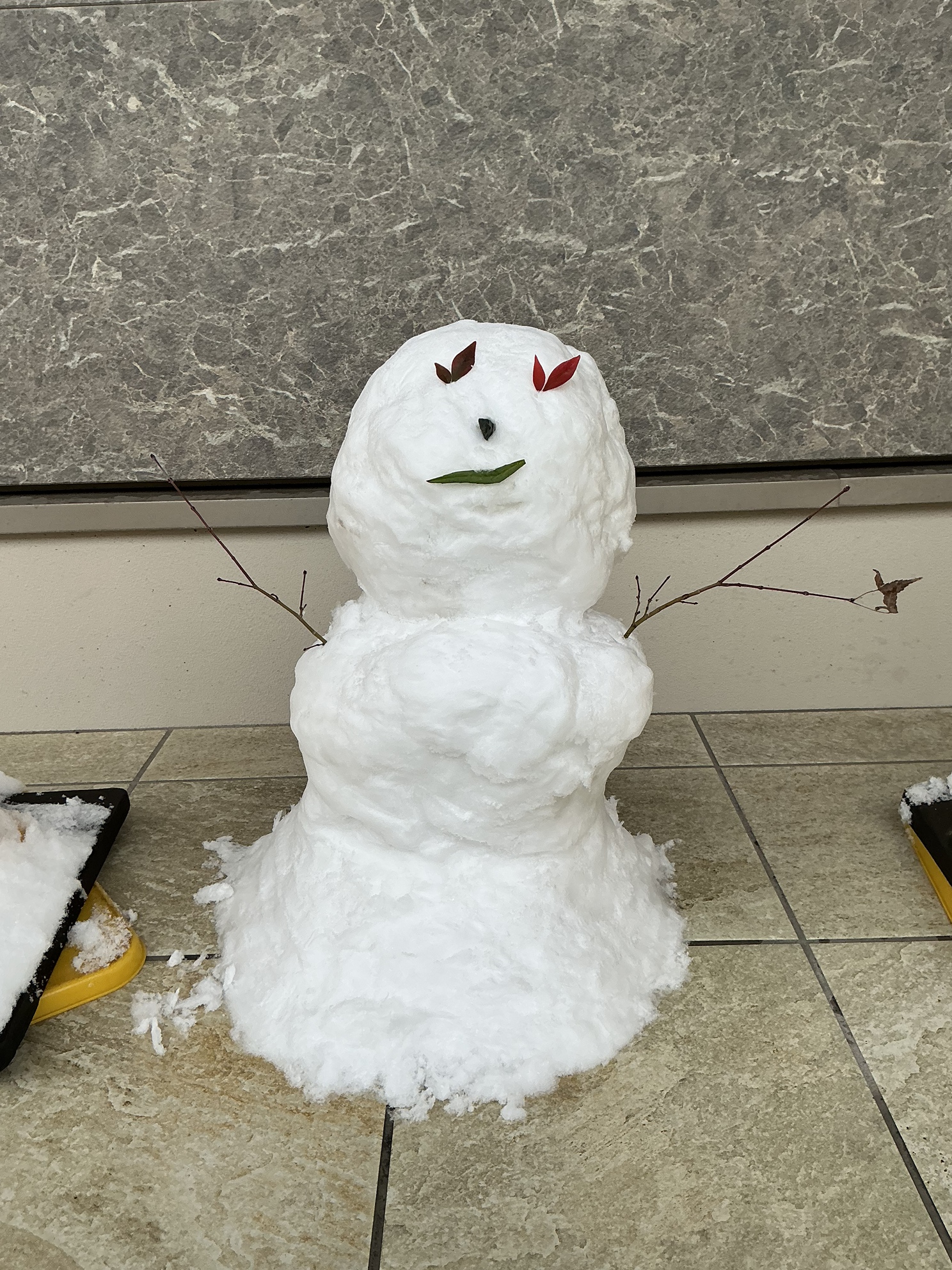 雪かきの途中で、かわいい来客がきました☃️❄️