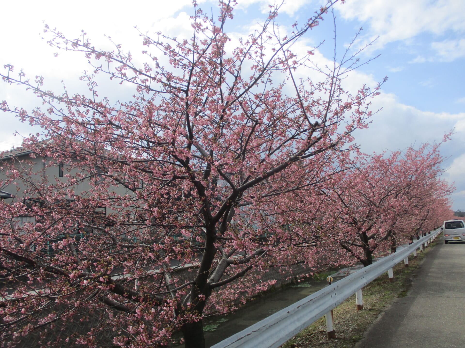 春の予感っ🌸
