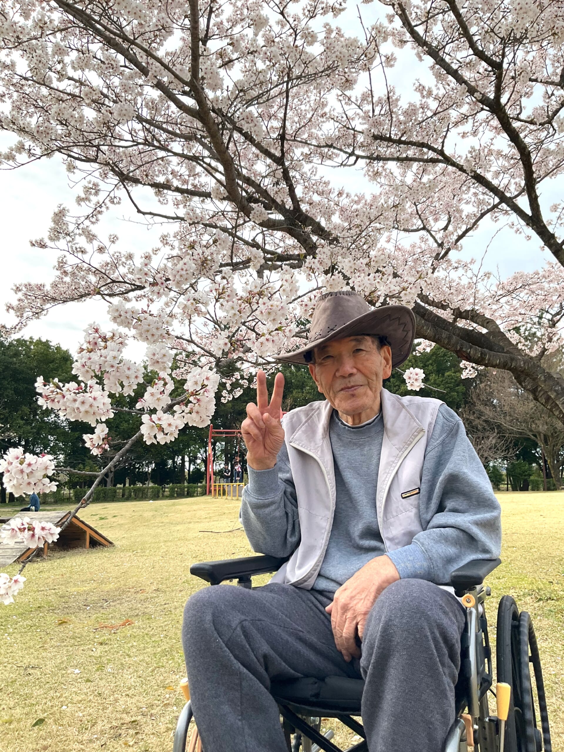 お花見🌸