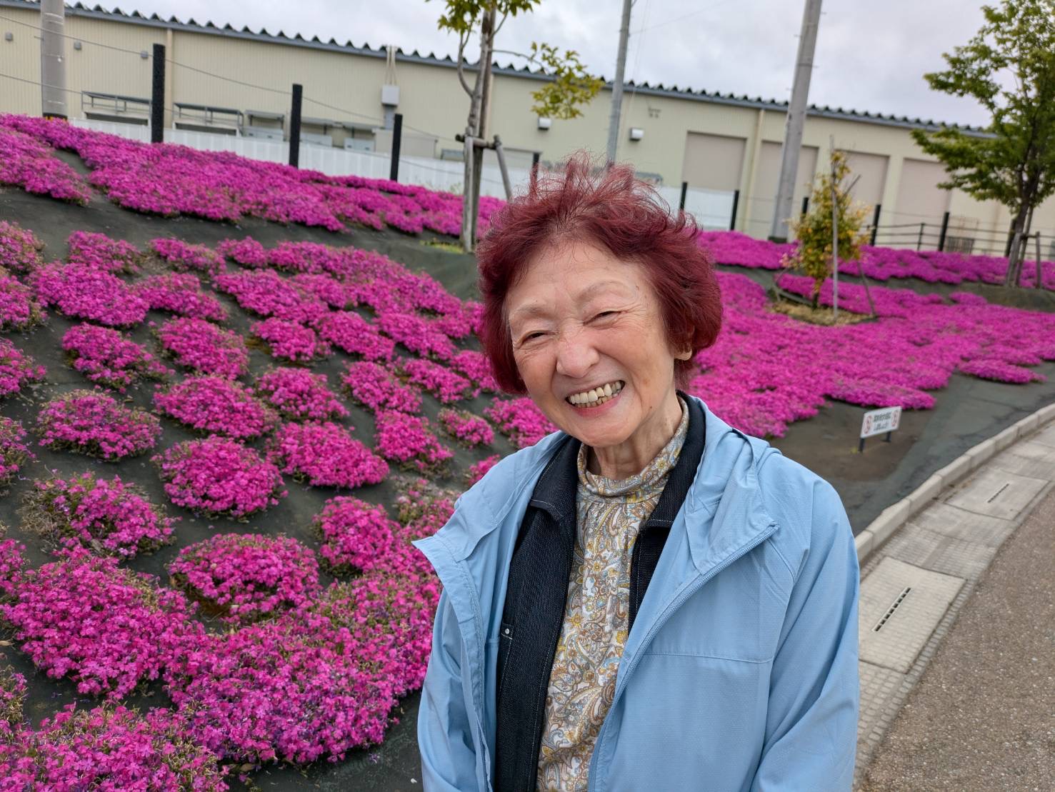【太陽のリゾート野々市】芝桜🌸を見に行ってきました🎵